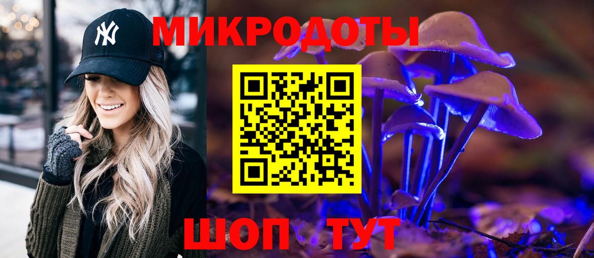 Галлюциногенные грибы Psilocybe Апшеронск