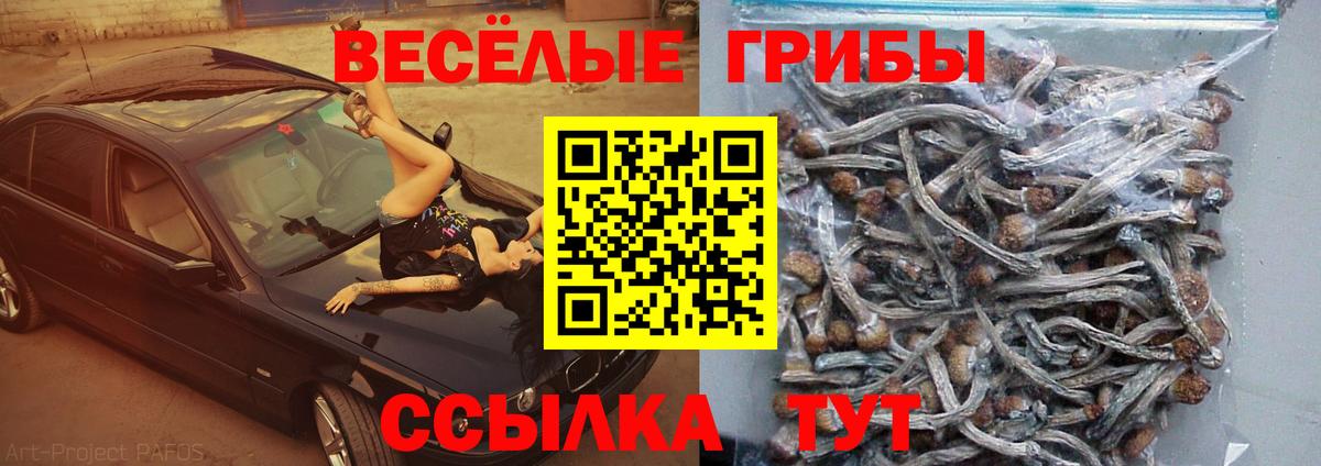 Апшеронск  Псилоцибиновые грибы MAGIC MUSHROOMS  Вход с VPN 