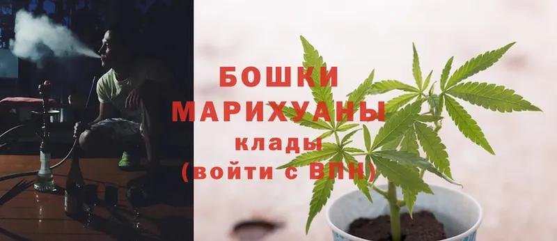 Конопля THC 21%  как найти наркотики  Апшеронск 